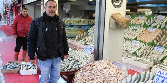 Balıkçılarda ’Hamsi’ Kıtlığı