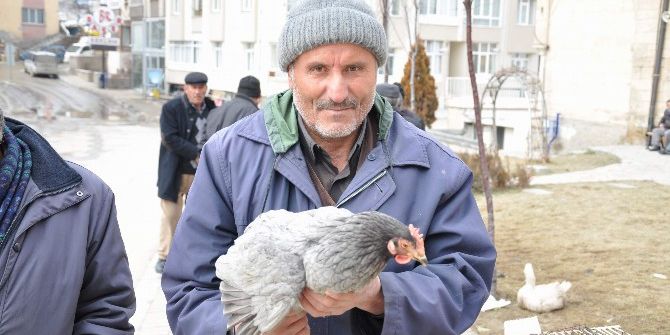 Vatandaşlardan Köy Tavuğuna Büyük İlgi