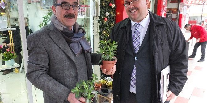 "Para Ağacı"na Büyük İlgi