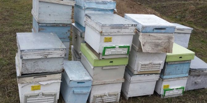 Bal Arısı Kovanı Çalan Şüpheli Yakalandı