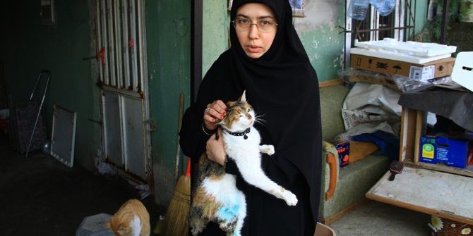 Ölümden Dönen Kediler Yeni Yuvalarına Kavuştu