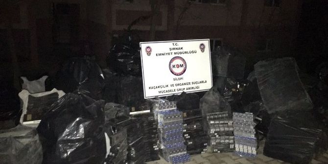 Silopi’de 49 Bin Paket Kaçak Sigara Ele Geçirildi