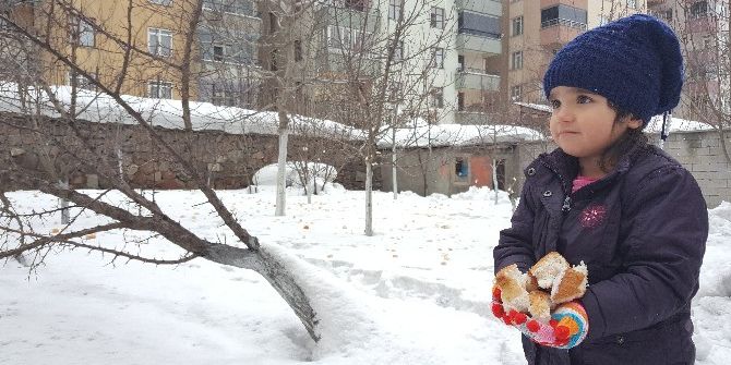 Miniklerden Anlamlı Davranış