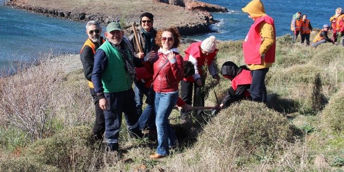 Aktiffelsefe Gea, Doğaya Can Verdi