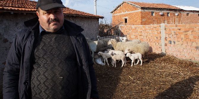 "Devlet Desteklemeli Çiftlik Kuruyoruz’ Diyerek Köylüyü Dolandırdılar