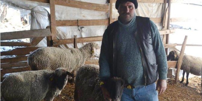 Ölen Koyunu İçin Sosyal Medyadan Başsağlığı Mesajı Paylaştı