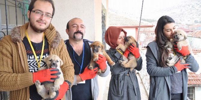 Yozgat’ta Hayvan Koruma Ekibinden Örnek Yardım