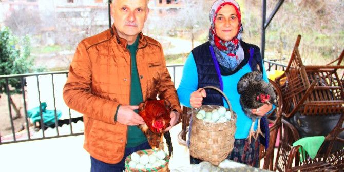 8 Yumurta İle Başladı Şimdi Talebe Cevap Veremiyor
