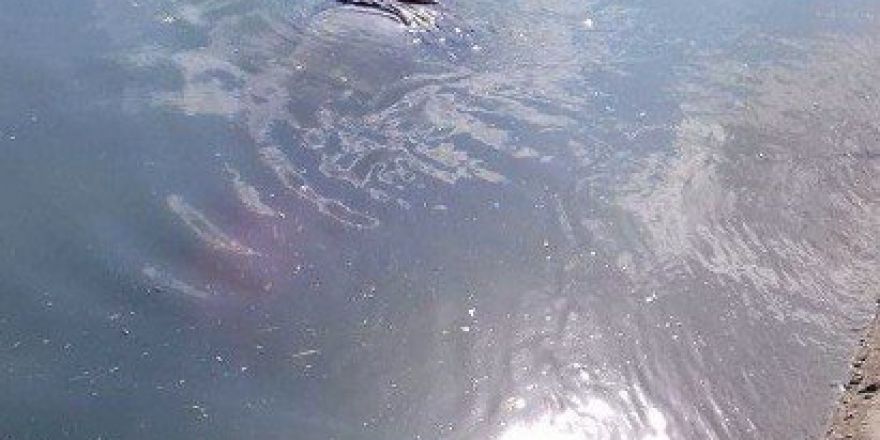 Tarsus’ta Sulama Kanalında Ceset Bulundu