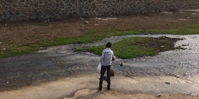 Viranşehir’de Sivri Sinek Mücadelesi Erken Başladı