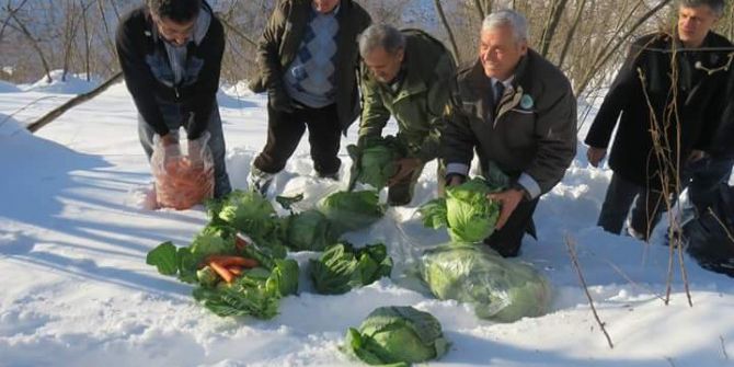 Ordu’da Yaban Hayvanlarına 3 Ton Yem Bırakıldı