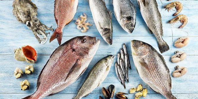 Çocuklar Balığı Çizgi Film Kahramanlarıyla Sevecek