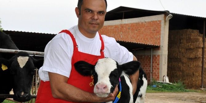 Manisa’da Hayvancılığa Yüzde 50 Hibe Desteği