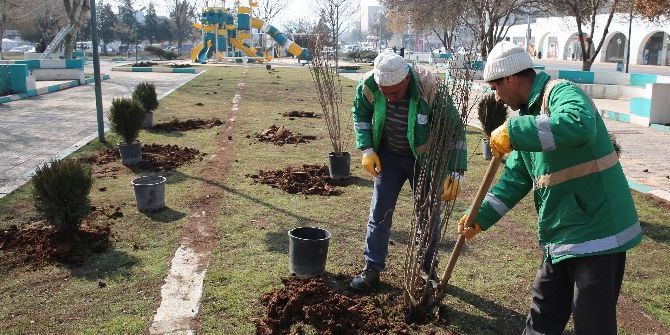 Haliliye’de Parklar Güneşli Günlere Hazırlanıyor