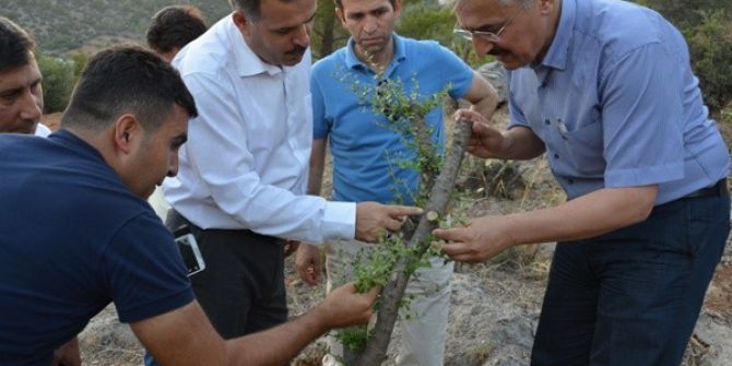 Mersin’de ’5000 Köye 5000 Orman’ Projesinde Hedefler Aşıldı