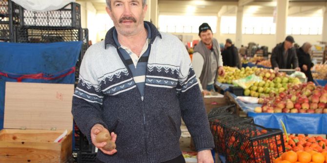 Kivi Çocuklu Annelerin Birinci Tercihi