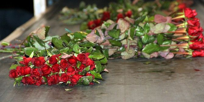 Sevgililer Günü’nün Favori Çiçeği ’Gül’