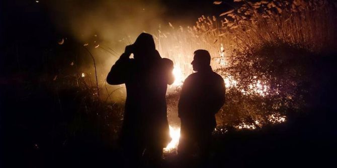 İznik Gölü Sazlıklarında Yangın