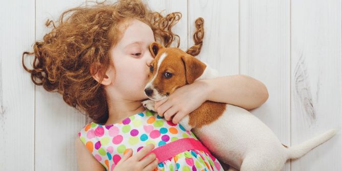 Sevgi Kareleri Yarışıyor