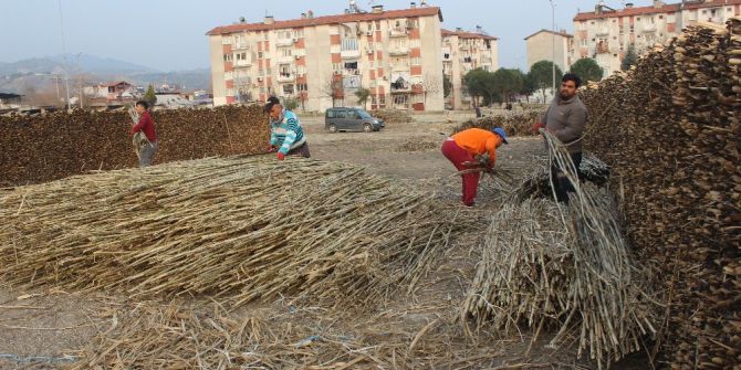 Kargının Hayat Bulduğu Mahalle