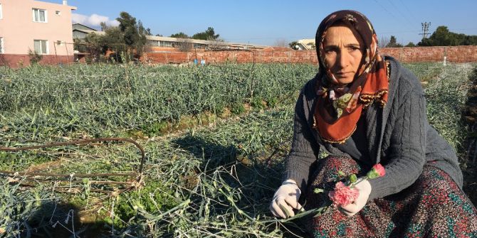 Satıcılar Fiyatlardan Feragat Etti, Sevgililer Çiçeksiz Kalmadı