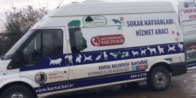 Kartal Belediyesinden Sokak Hayvanlarına Dost Eli