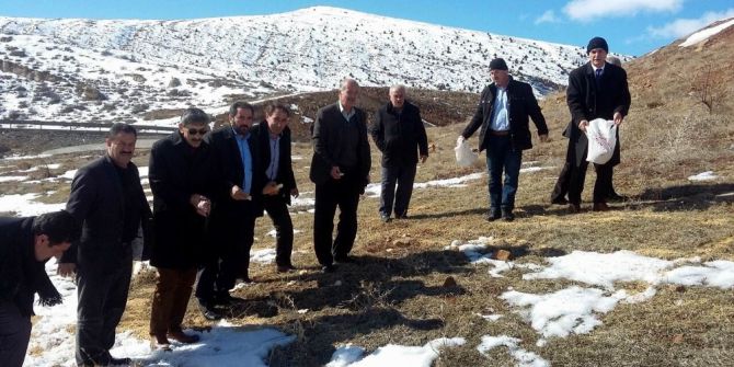 Sivas’ta Doğaya Yaban Hayvanları İçin Yem Bırakıldı