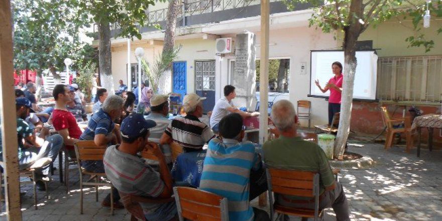 Domates Zararlısı Erken Uyarı Sistemiyle Tespit Edilecek