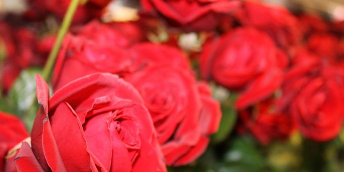 Çiçekçi Esnafı 14 Şubat Bereketini Yaşıyor