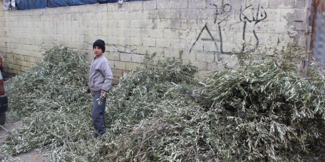 Yasağa Rağmen Fırınlarda Zeytin Dalı Yakılıyor