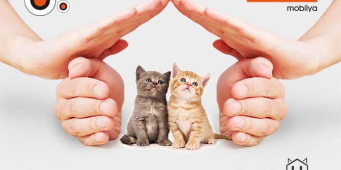 Atıl Malzemeler Kedi Evi Oluyor