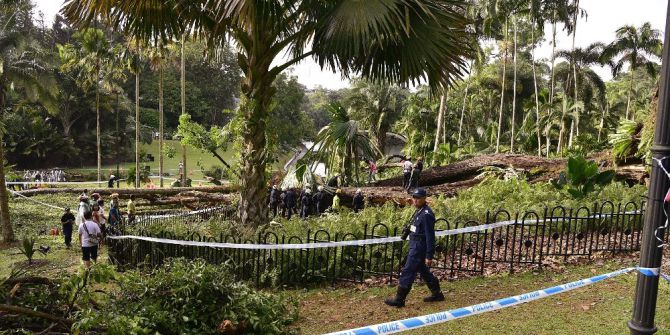Singapur’da 270 Yıllık Ağaç Devrildi: 1 Ölü