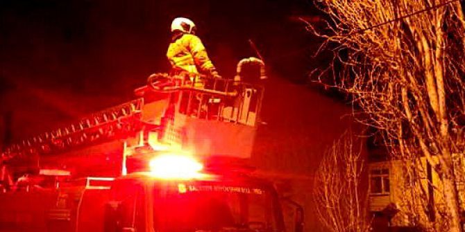 Burhaniye’de Kavak Ağacına Çıkan Kediyi, İtfaiye Ekipleri Aşağıya İndirdi