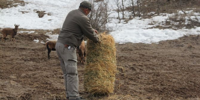 Hayvanat Bahçesindeki Yaban Hayvanlarına Yem Bırakıldı