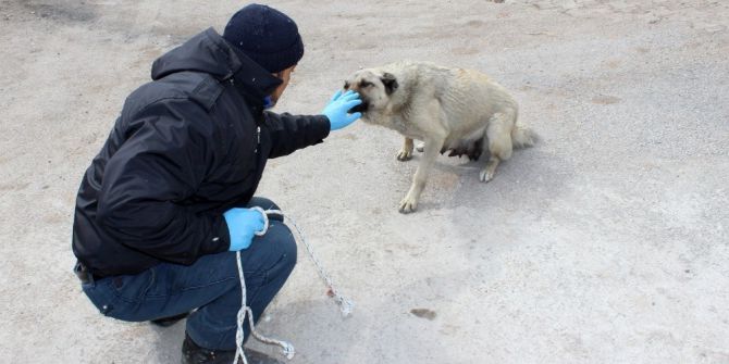 Whatsapp’a Gelen İhbarla Onun Da Bir Evi Oldu