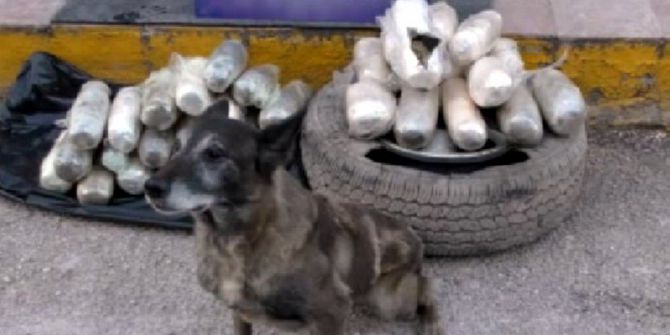 Uşak’ta 23 Kilo 500 Gram Esrar Yakalandı