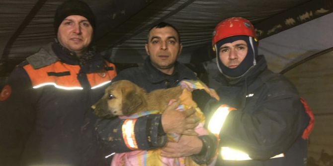 Kuyuya Düşen Yavru Köpek 10 Gün Sonra Kurtarıldı