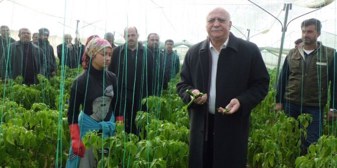 Bayraktar: "Biberde Kalıntı İddiaları Tamamen Asılsız"