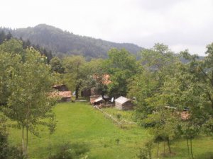Kastamonu Aksinir Köyü
