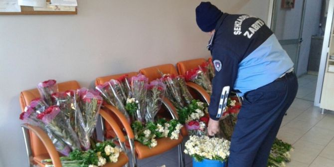 Şehzadeler Seyyara Geçit Vermedi