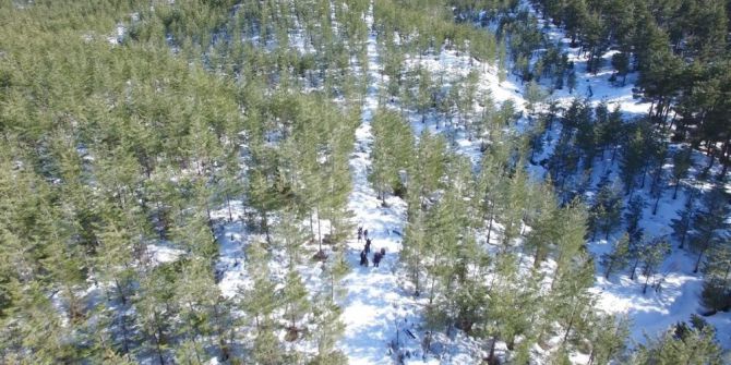 Kaybolan Film Ekibi Ve Oyuncular Kurtarıldı