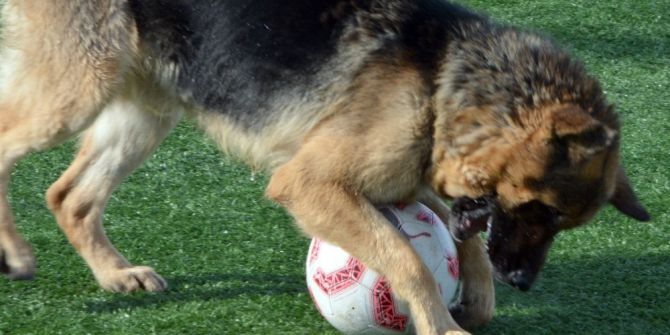 Bb Erzurumspor Ofspor Maçı Hazırlığı
