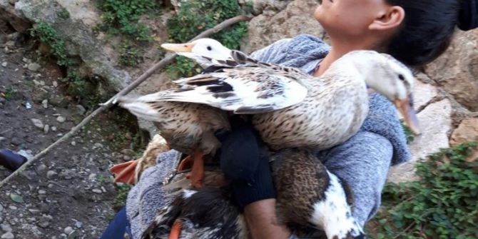 Antalya’da Mahsur Kalan Ördek Seferberliği