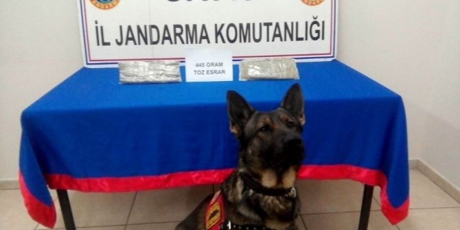 Sivas’ta Uyuşturucu Operasyonu