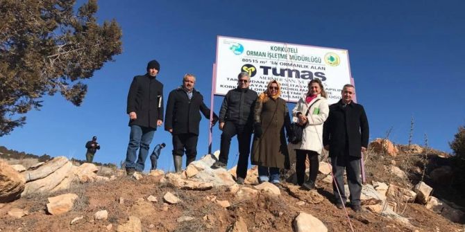 Korkuteli’de Maden Sahaları Yeşilleniyor