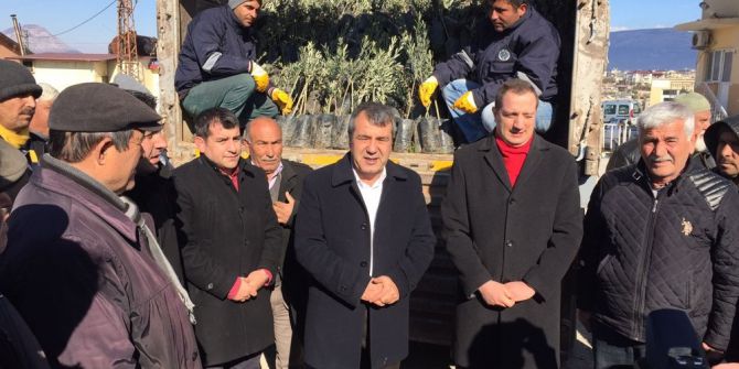 Mut Belediyesi Üreticiye 14 Bin Zeytin Fidanı Dağıttı