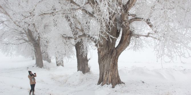 Doğu Anadolu’da Soğuk Hava