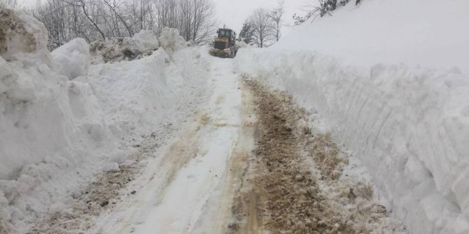 Ordu’da Kar Mücadelesi Sürüyor