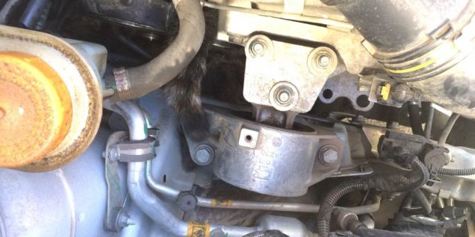 Aracın Motor Kısmına Sıkışan Kedi Sanayide Çıkartıldı