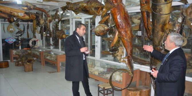 Gökhan Taşkın: “Bunlar Balık Değil Canavar”